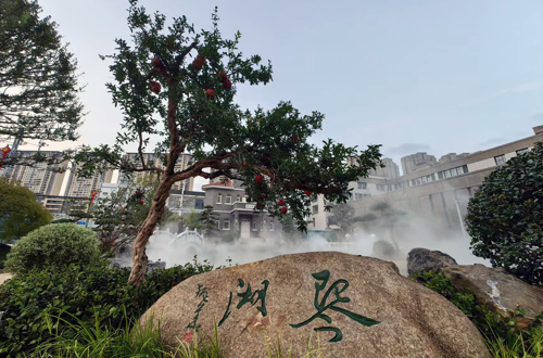 中洋集团锦鲤相赠，环境育人锦上添花